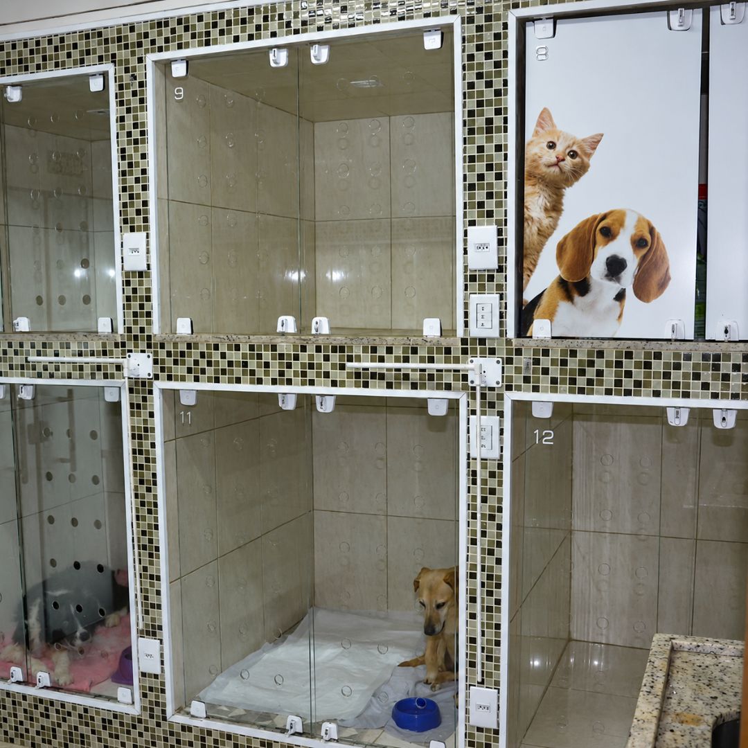 Área de internação e hospedagem